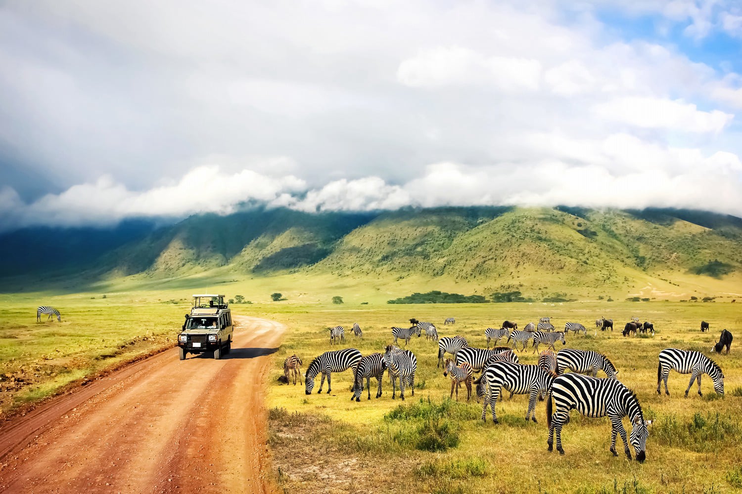 amazing Tanzania safari